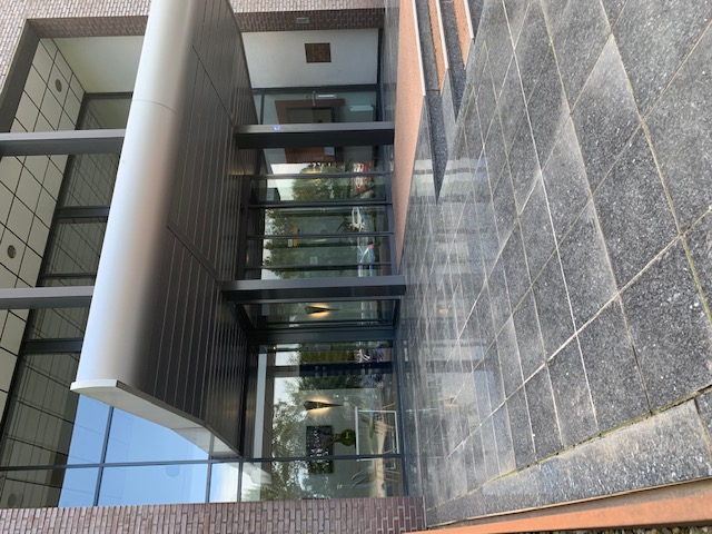 Interim Professional